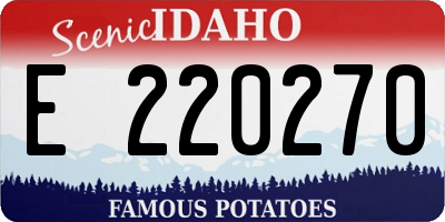 ID license plate E220270