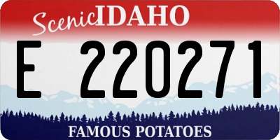 ID license plate E220271