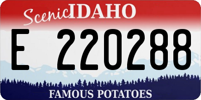 ID license plate E220288