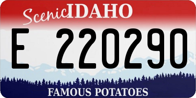 ID license plate E220290