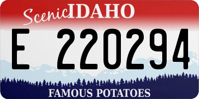 ID license plate E220294