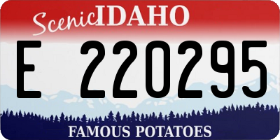 ID license plate E220295