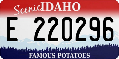 ID license plate E220296