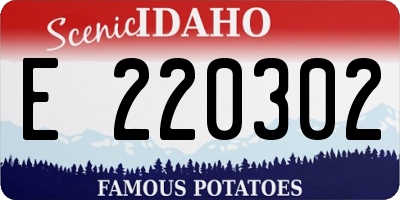 ID license plate E220302