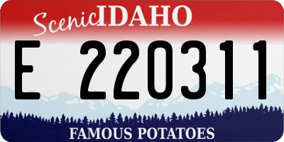 ID license plate E220311