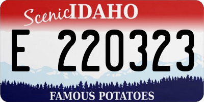 ID license plate E220323