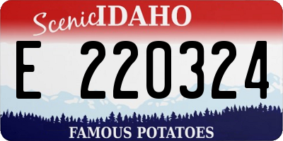 ID license plate E220324