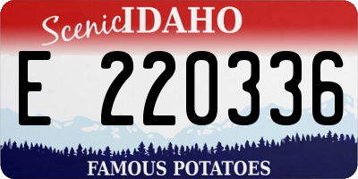 ID license plate E220336