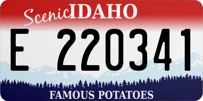 ID license plate E220341