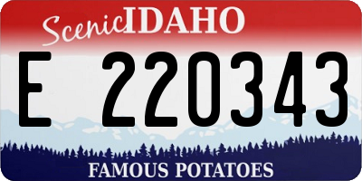 ID license plate E220343