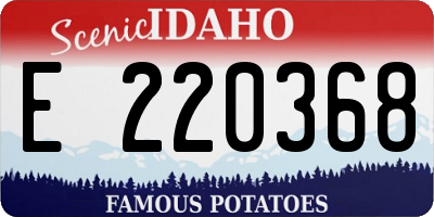 ID license plate E220368