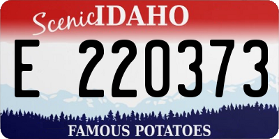 ID license plate E220373