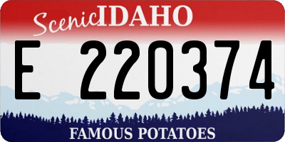 ID license plate E220374