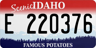 ID license plate E220376