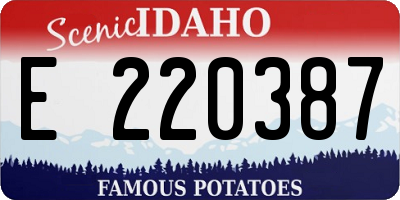 ID license plate E220387