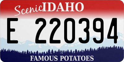 ID license plate E220394