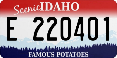 ID license plate E220401