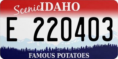 ID license plate E220403
