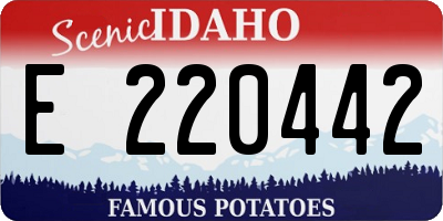 ID license plate E220442
