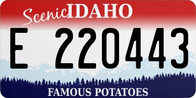 ID license plate E220443