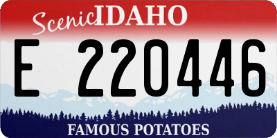 ID license plate E220446