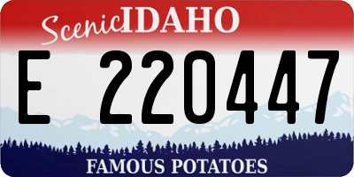 ID license plate E220447