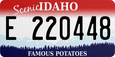 ID license plate E220448