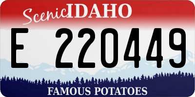 ID license plate E220449