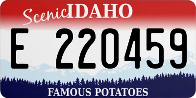 ID license plate E220459