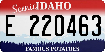 ID license plate E220463