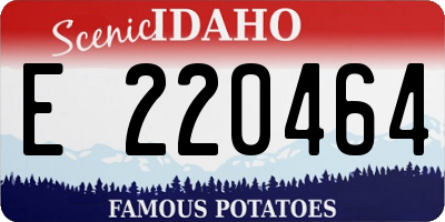 ID license plate E220464