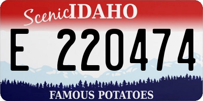 ID license plate E220474