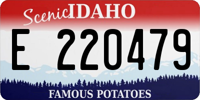 ID license plate E220479