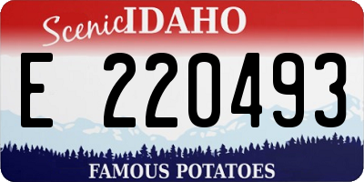 ID license plate E220493