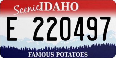 ID license plate E220497