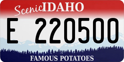 ID license plate E220500