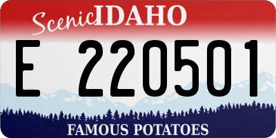 ID license plate E220501
