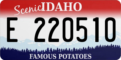 ID license plate E220510