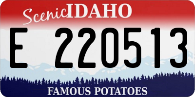 ID license plate E220513
