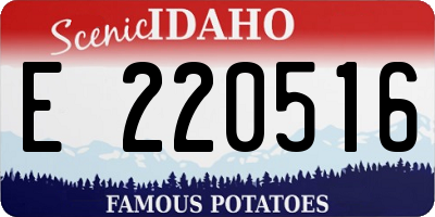 ID license plate E220516