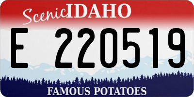 ID license plate E220519