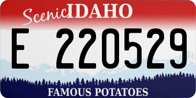 ID license plate E220529