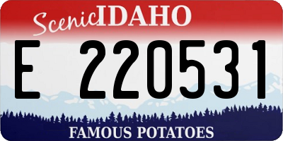 ID license plate E220531