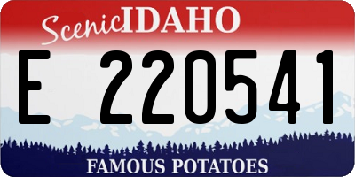 ID license plate E220541