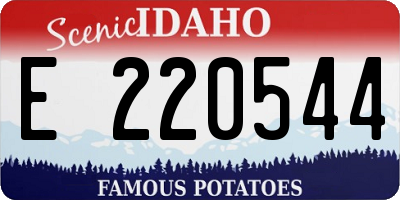 ID license plate E220544