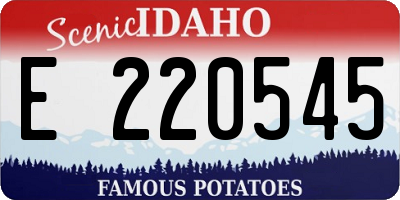 ID license plate E220545