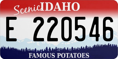 ID license plate E220546