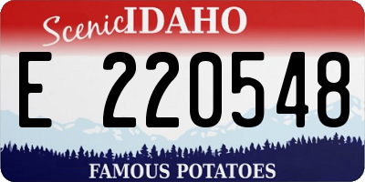 ID license plate E220548