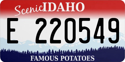ID license plate E220549