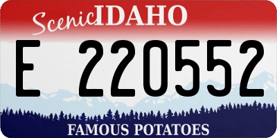 ID license plate E220552